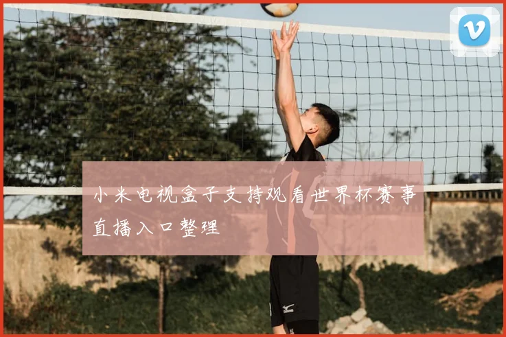 小米电视盒子支持观看世界杯赛事直播入口整理