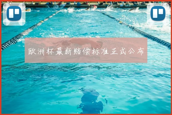 欧洲杯最新赔偿标准正式公布