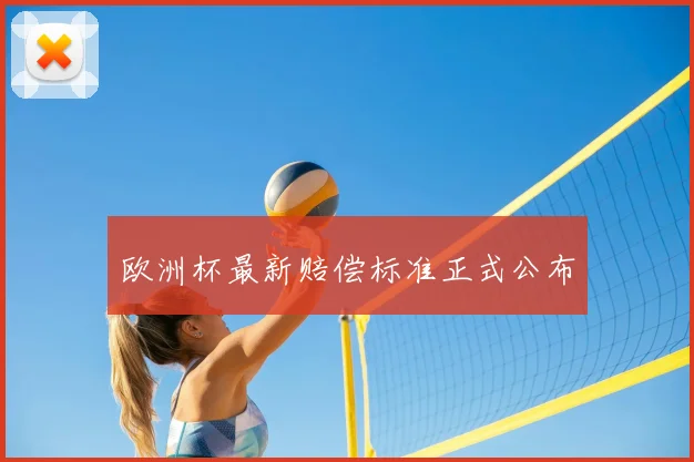 欧洲杯最新赔偿标准正式公布