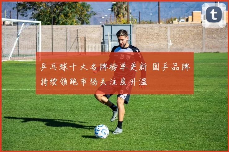 乒乓球十大名牌榜单更新 国乒品牌持续领跑市场关注度升温