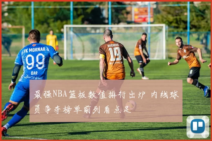 最强NBA篮板数值排行出炉 内线球员争夺榜单前列看点足