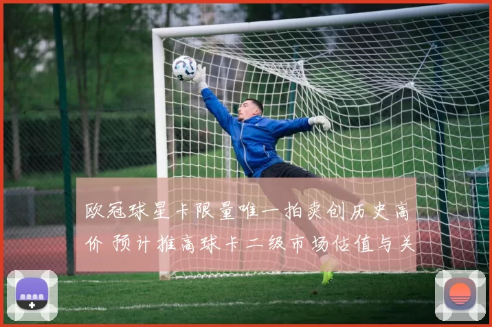 欧冠球星卡限量唯一拍卖创历史高价 预计推高球卡二级市场估值与关注度