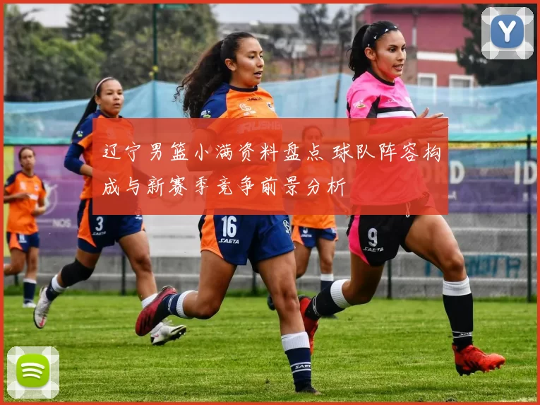 辽宁男篮小满资料盘点 球队阵容构成与新赛季竞争前景分析