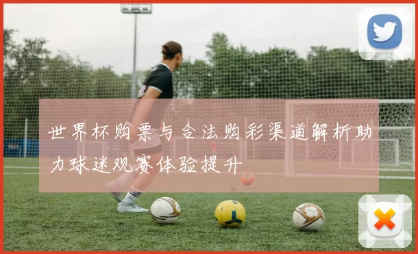 世界杯购票与合法购彩渠道解析助力球迷观赛体验提升