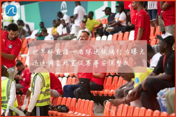 世界杯直播一名球迷极端行为曝光迅速调查处置促赛事安保整改