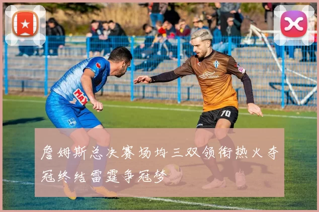 詹姆斯总决赛场均三双领衔热火夺冠终结雷霆争冠梦